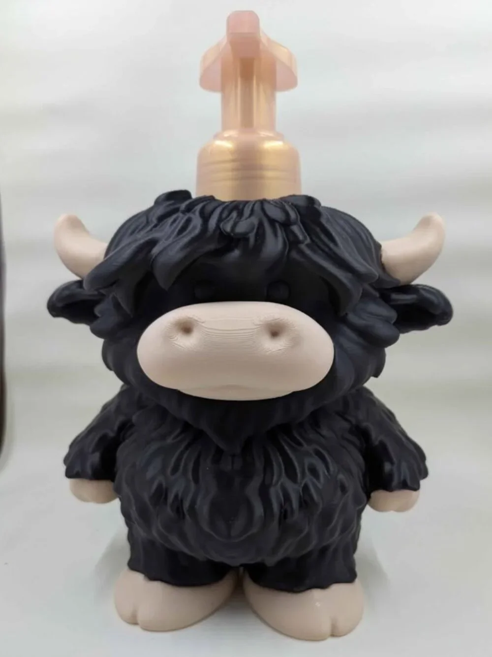 N/A highland cows